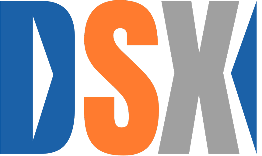 DSX logo